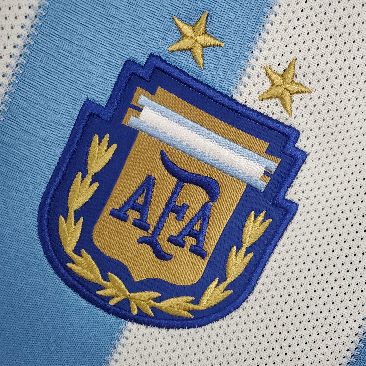 Argentine Retro Home 2010