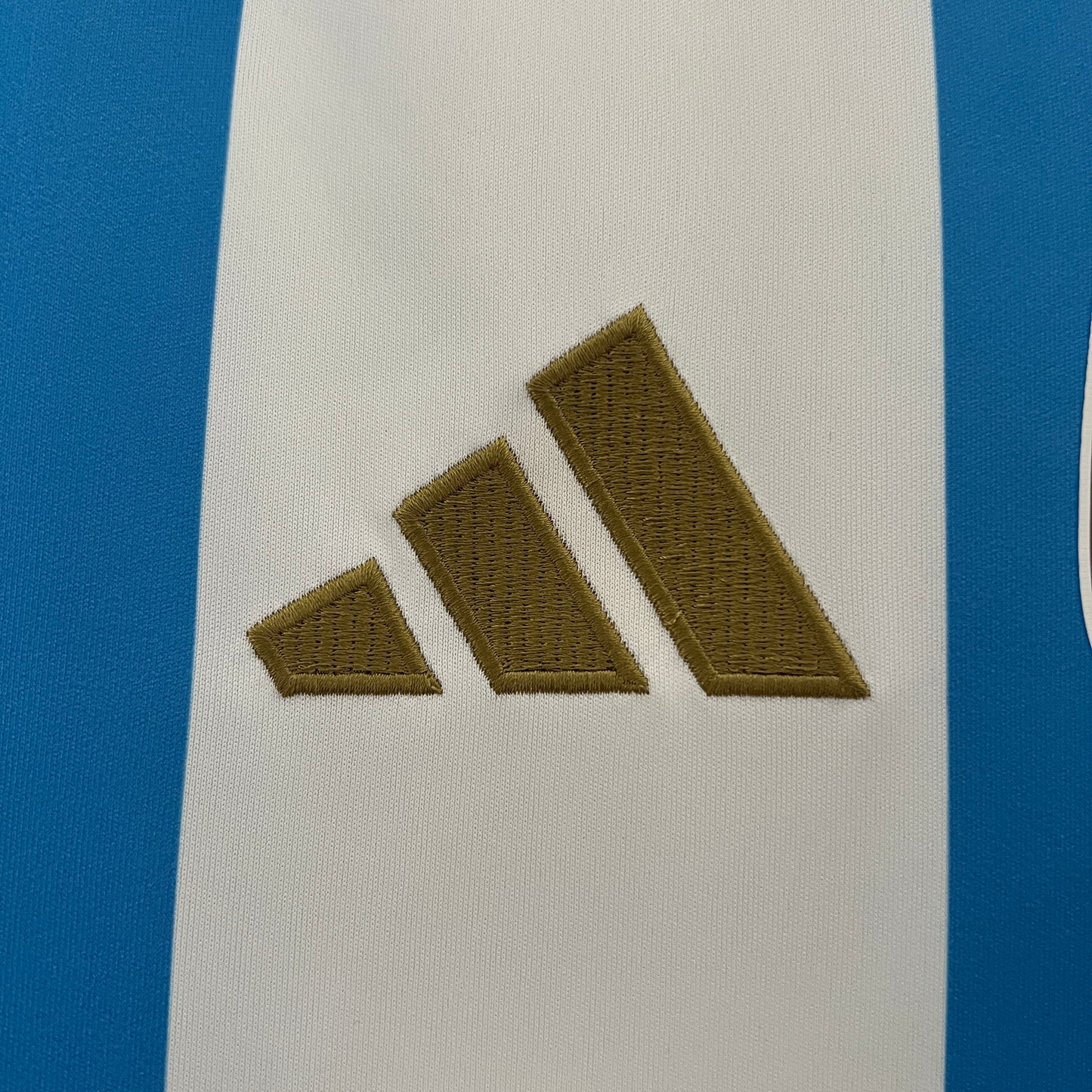Argentine Home 2024/2025