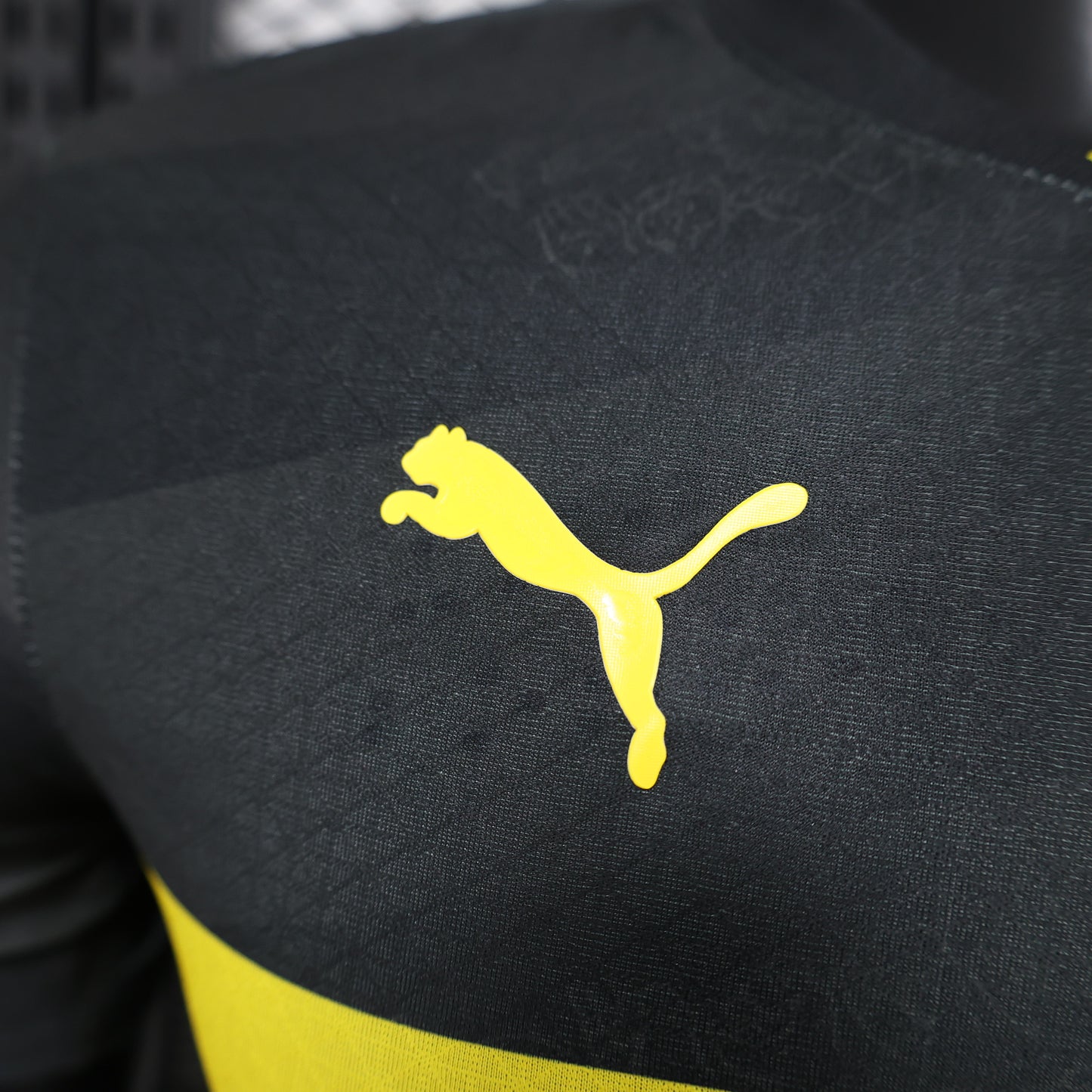Dortmund Player Away 2024/2025