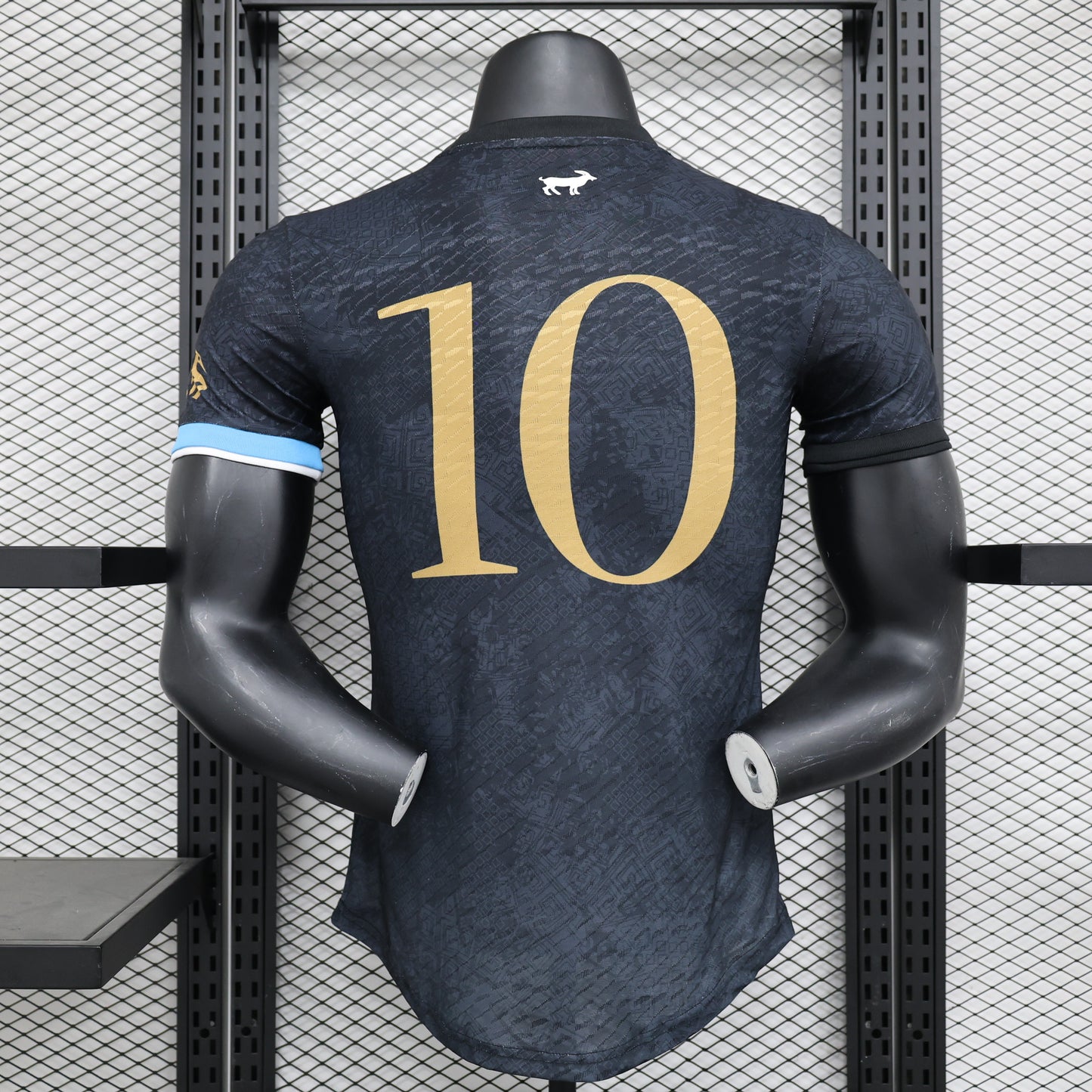 Argentine Player Concept 2024/2025