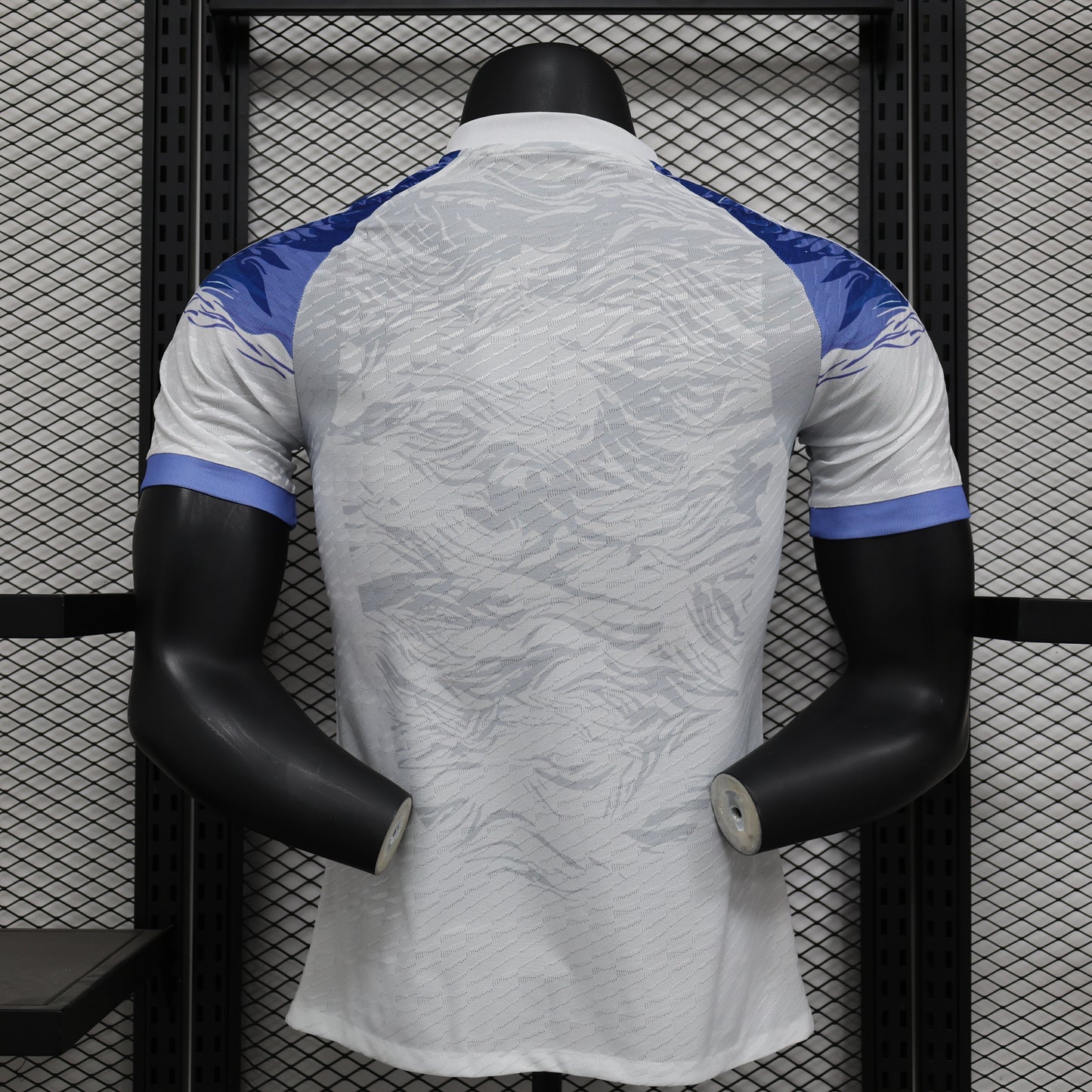 Japon Player Concept 2024/2025
