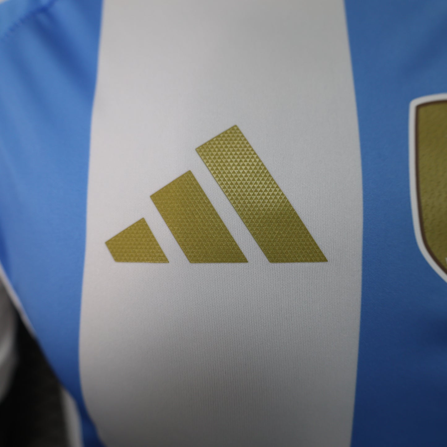 Argentine Player Home 2024/2025