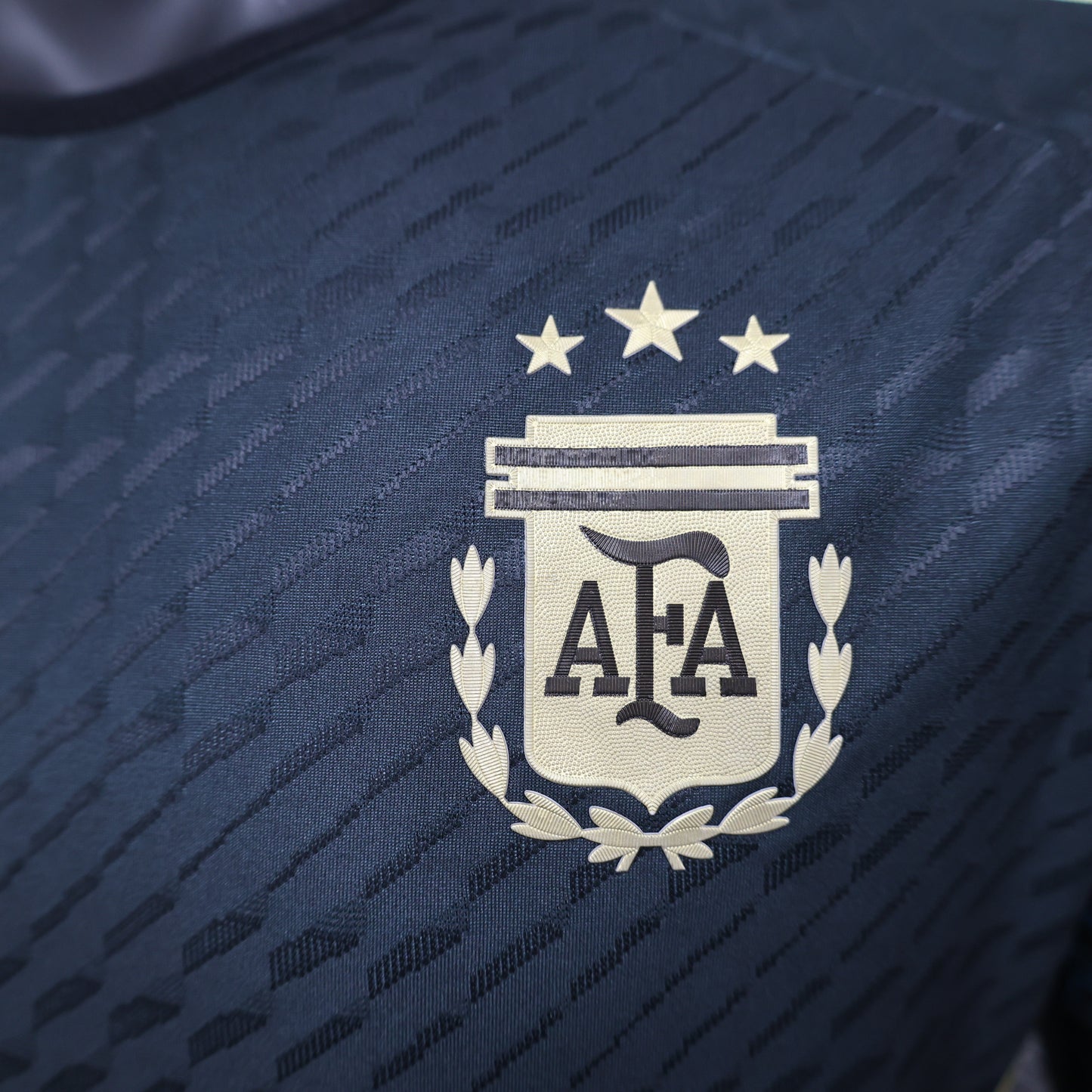 Argentine Player Concept 2024/2025