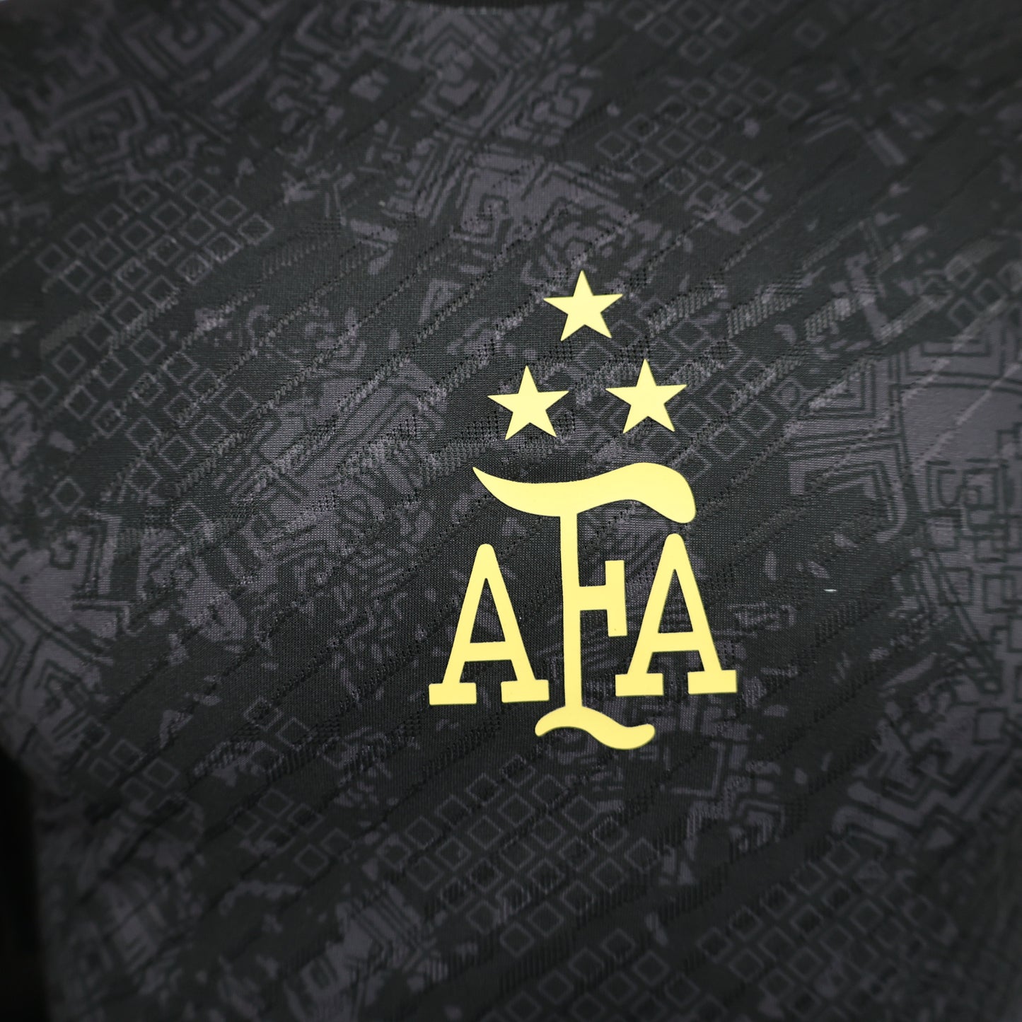 Argentine Player Concept 2024/2025