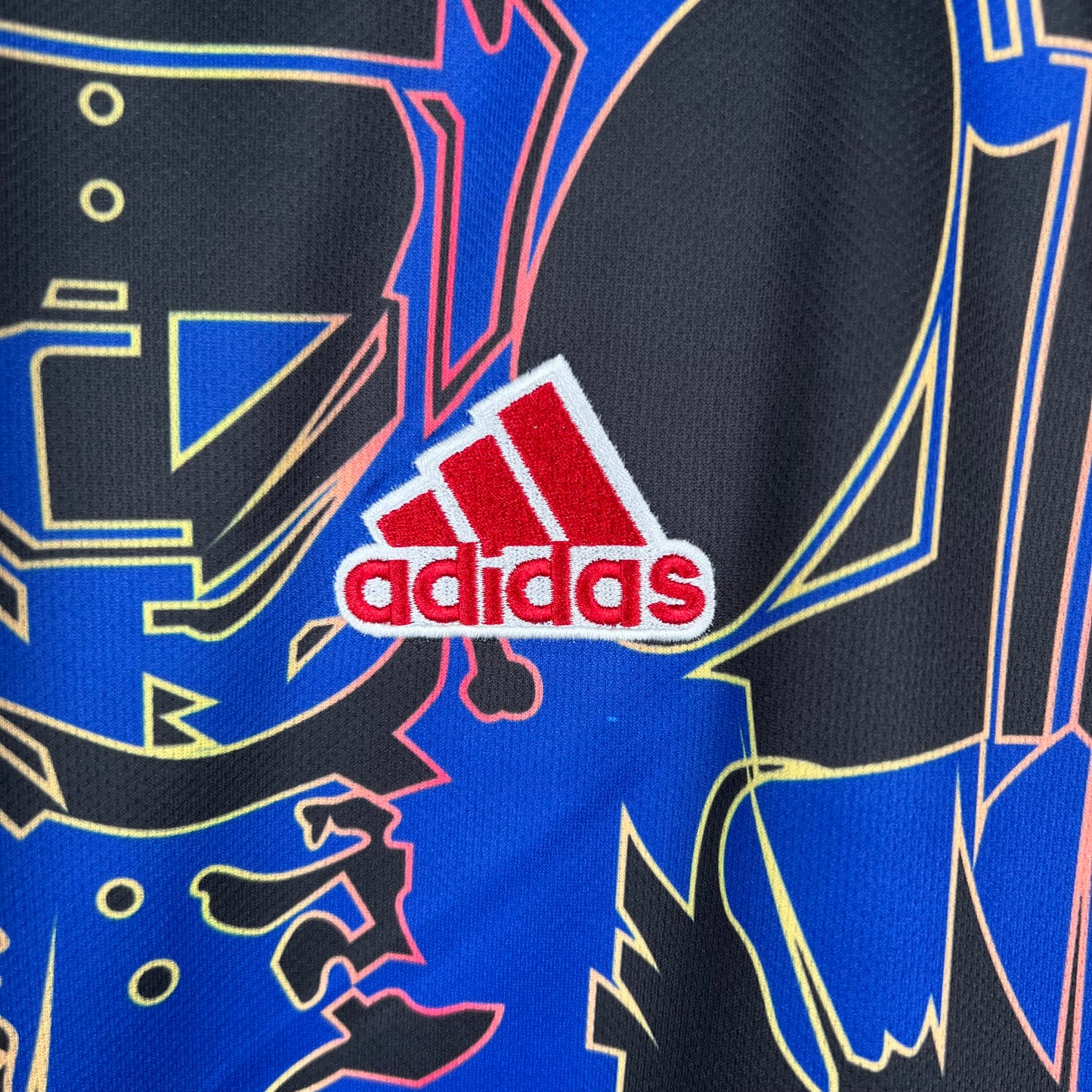 Japon Concept Bleu 2024/2025