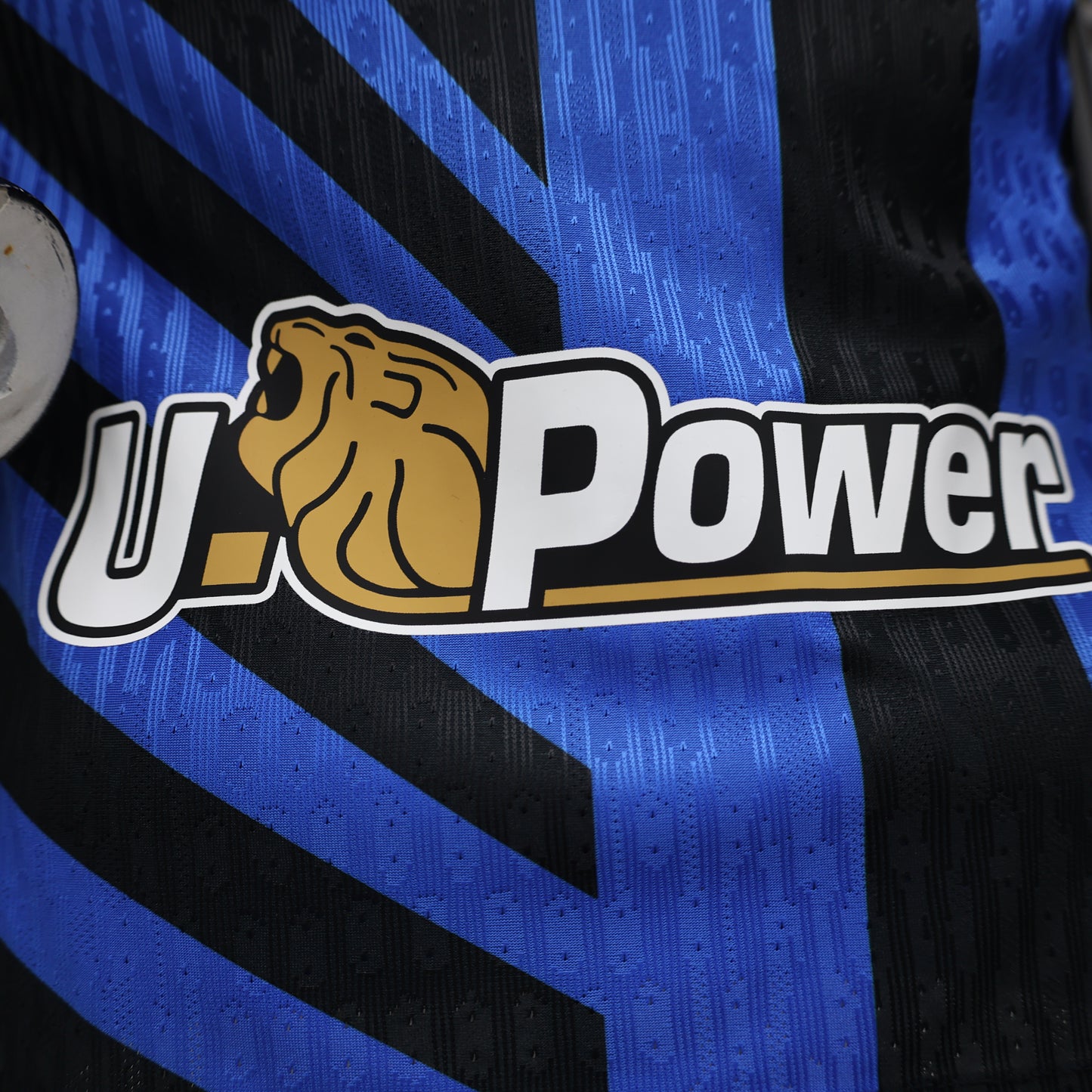 Inter Milan Player Home 2024/2025